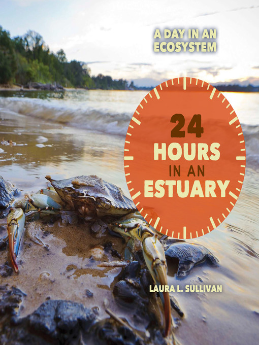 Title details for 24 Hours in an Estuary by Laura Sullivan - Wait list